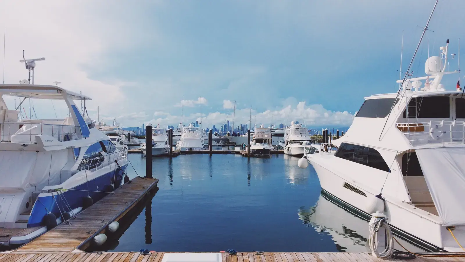 Passive Income Streams: Building Wealth with Dividend Stocks
